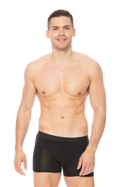 Picture of Muške bokserice