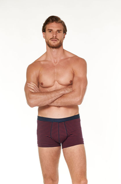 Picture of Muške bokserice  kraća nogavica Galeb