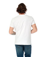 Picture of Galeb muška majica s printom