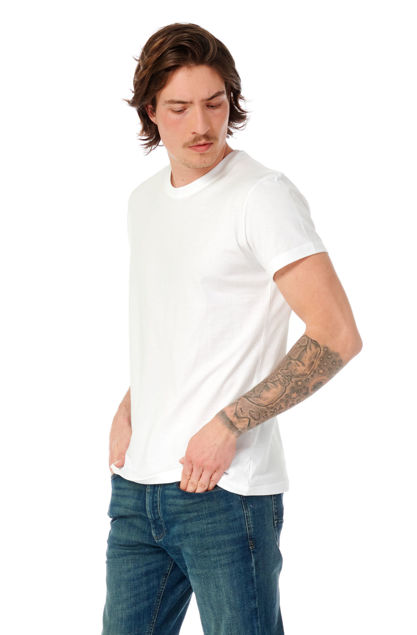 Picture of Galeb muška majica s printom